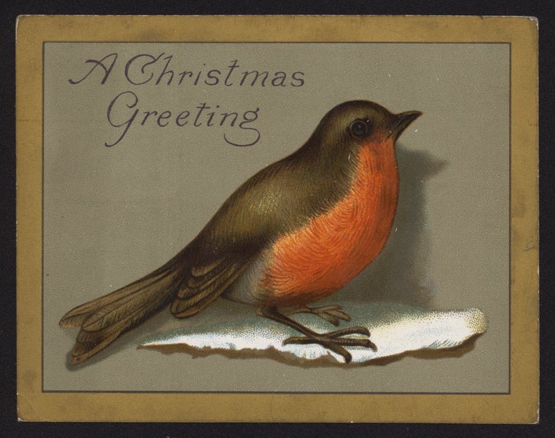 Robin (chromolitho) od English School
