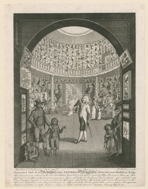 Rotunda v Leverian muzeu od English School