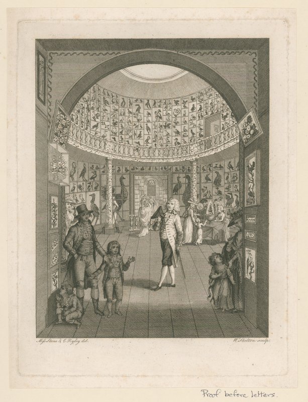Rotunda v Leverian muzeu od English School