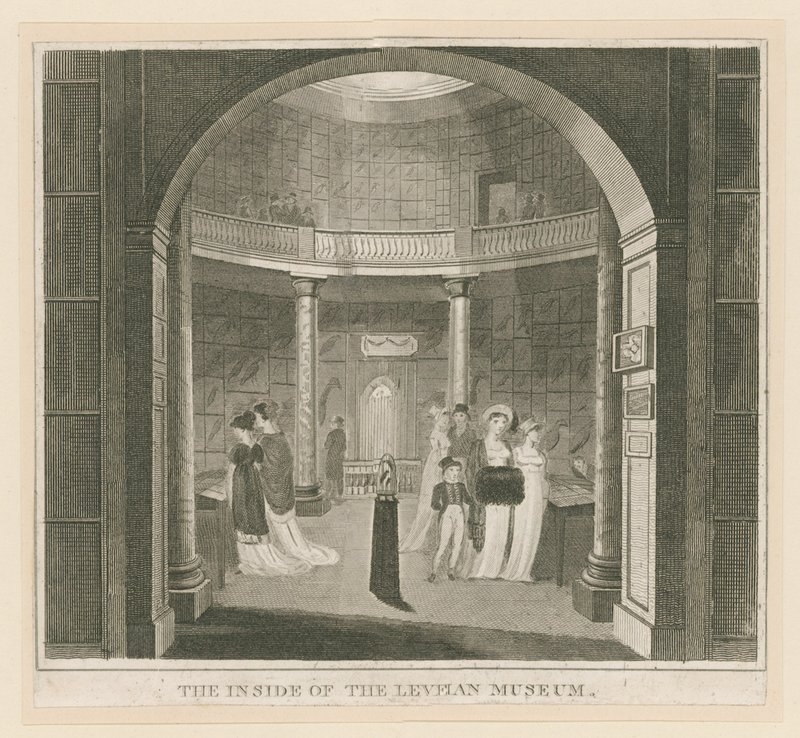 Rotunda v Leverian muzeu od English School