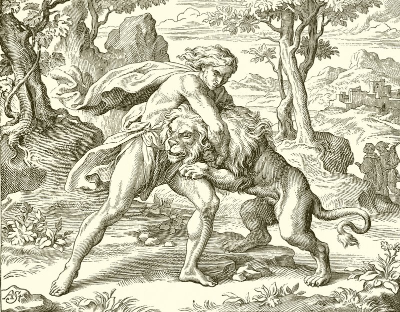 Samson a lev od English School