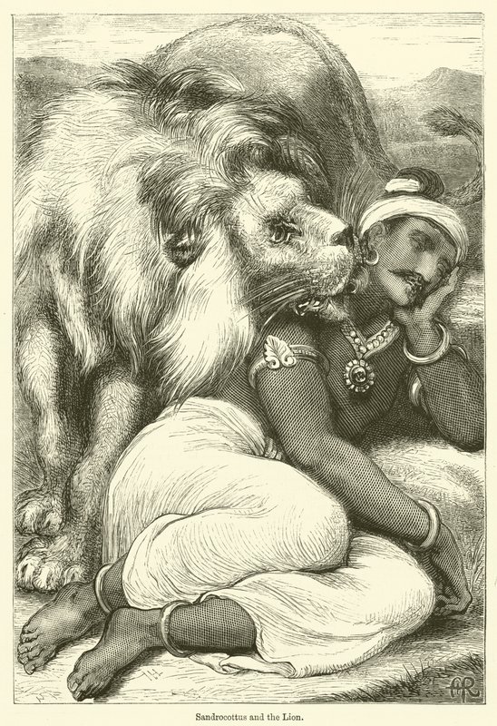 Sandrocottus a lev (rytina) od English School