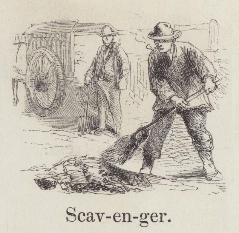 Scavenger (rytina) od English School