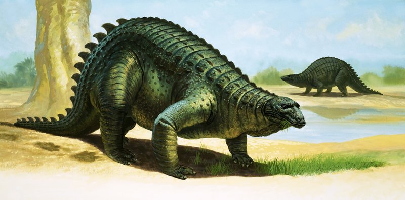 Scelidosaurus od English School