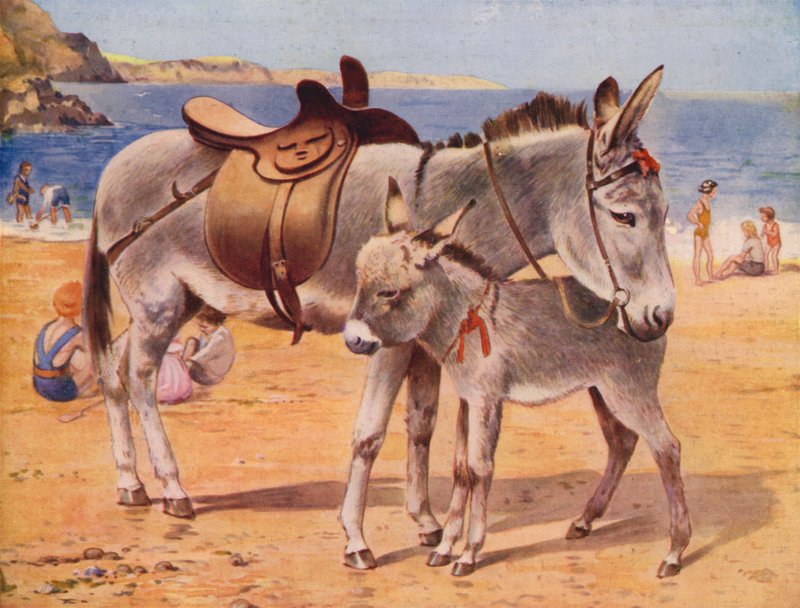 Přímořští osli (barva litho) od English School