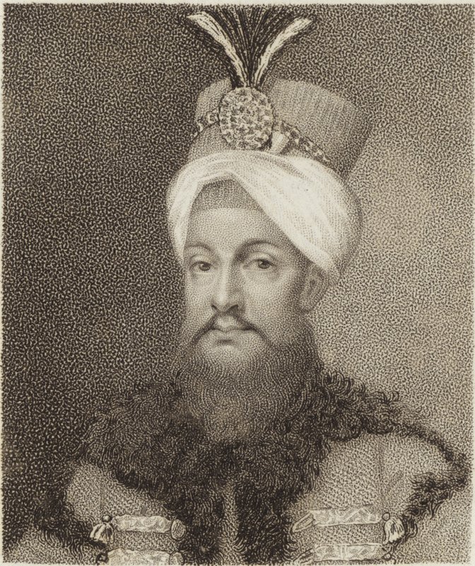Selim II od English School