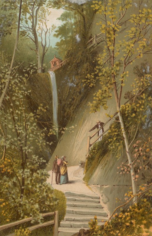 Shanklin Chine - Isle of Wight od English School