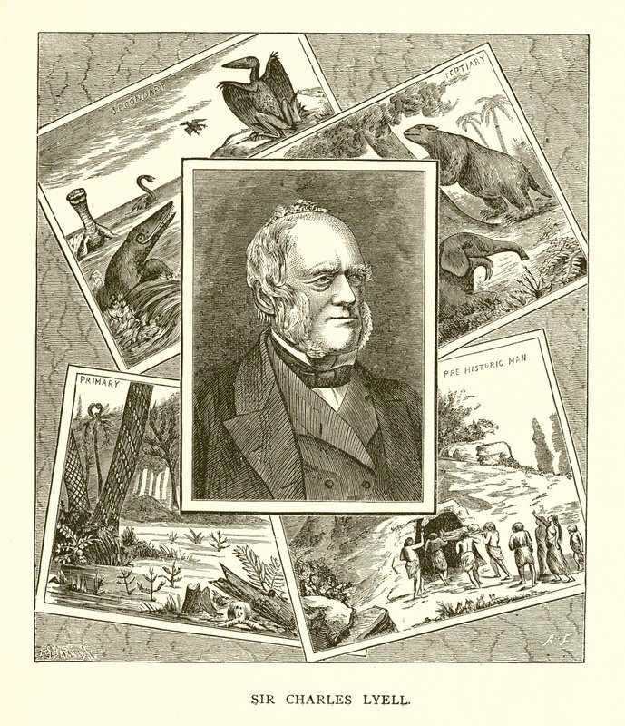 Sir Charles Lyell od English School