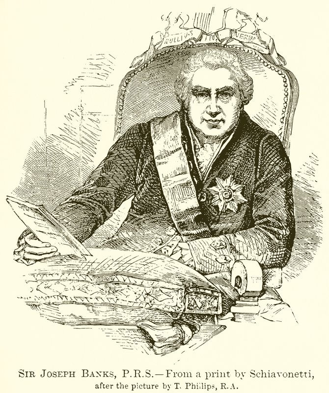 Sir Joseph Banks, P.R.S od English School