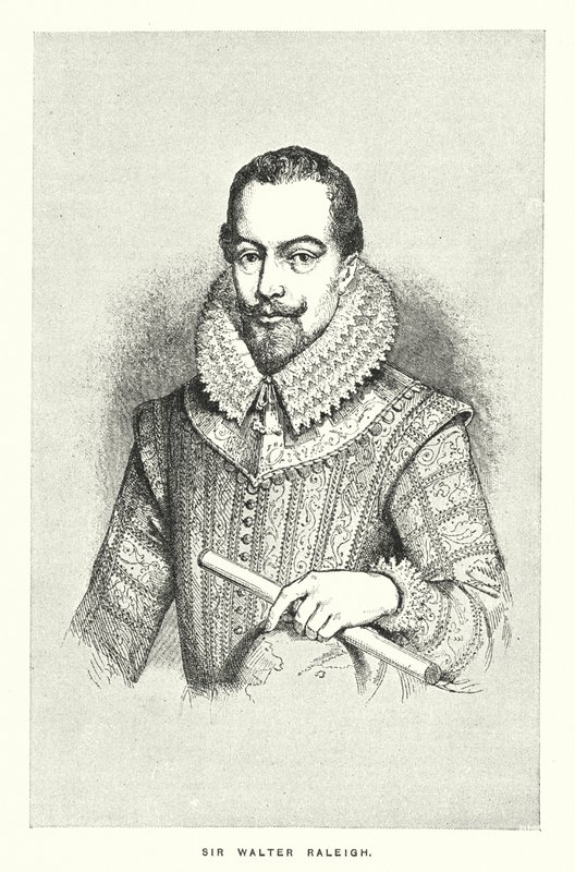 Sir Walter Raleigh (rytina) od English School