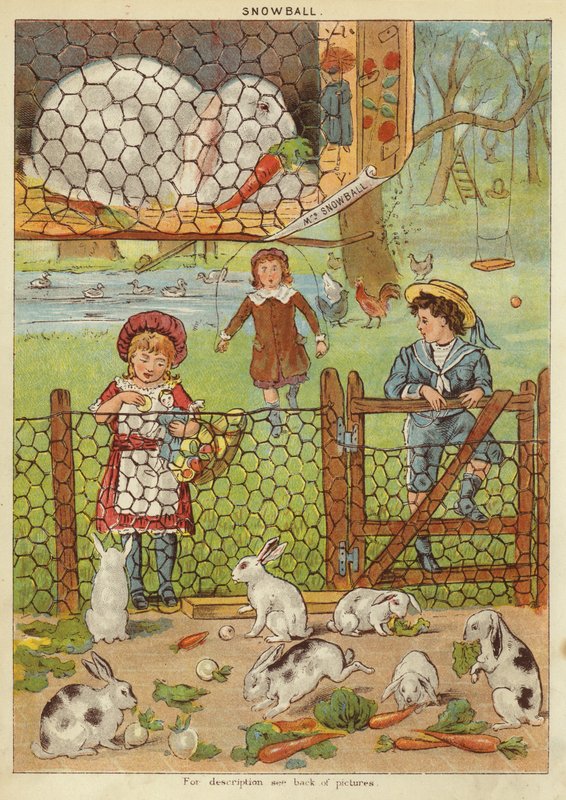 sněhová koule (chromolitho) od English School