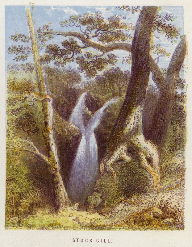 Stock Gill (barva lito) od English School