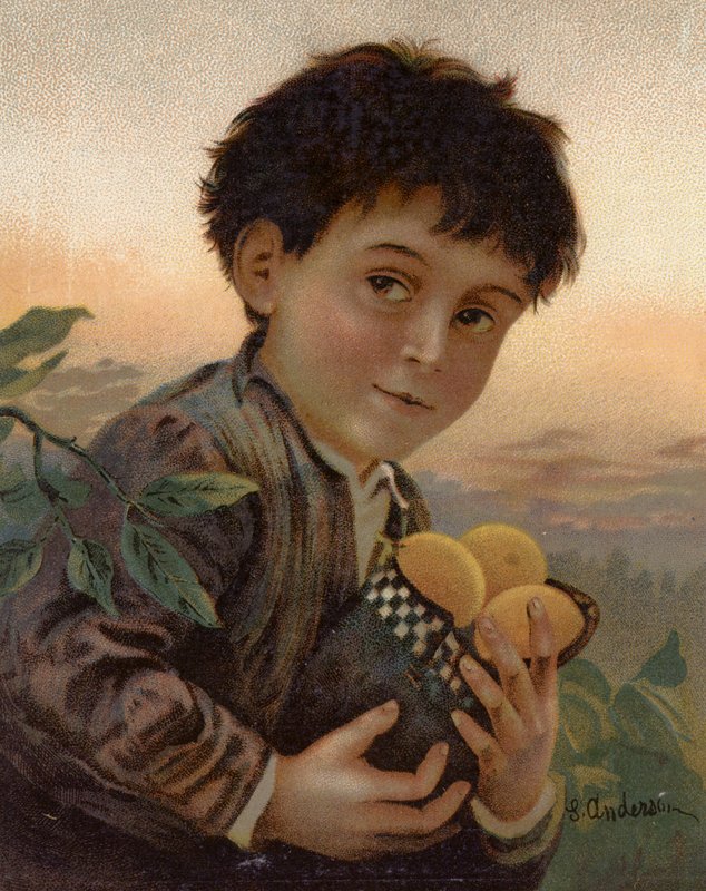 Ukradené ovoce (barva litho) od English School