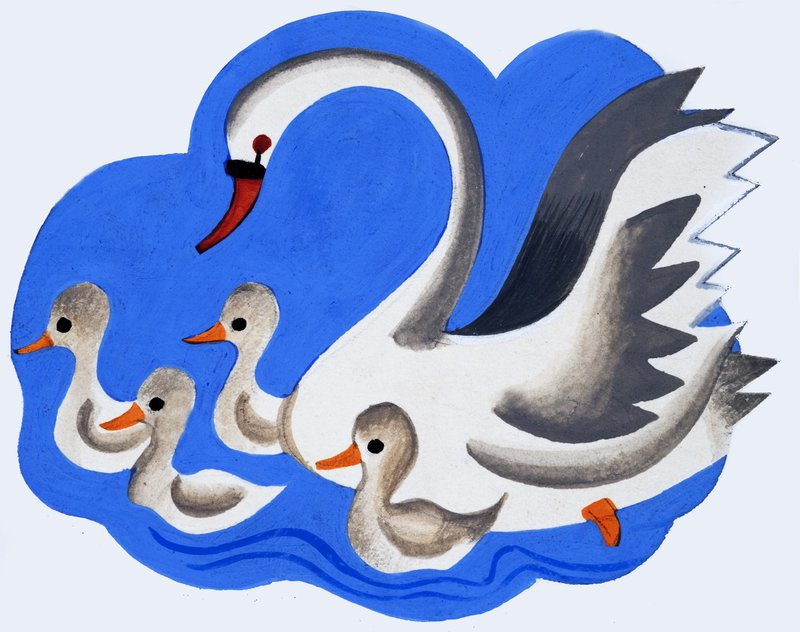 Labuť a cygnets od English School
