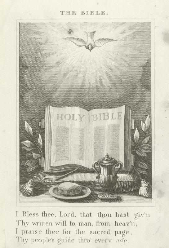 Bible od English School