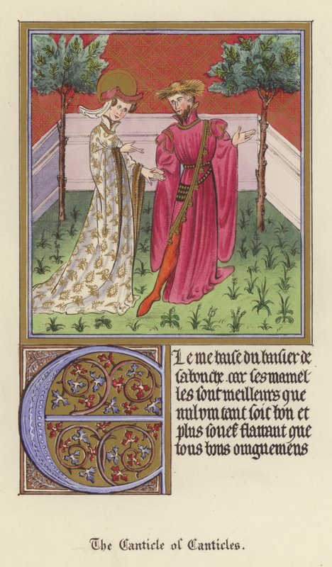 Canticle of Canticles (barva litho) od English School