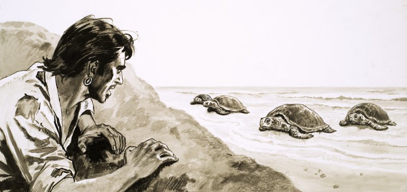 Trosečníci: Terror of Turtle Island od English School