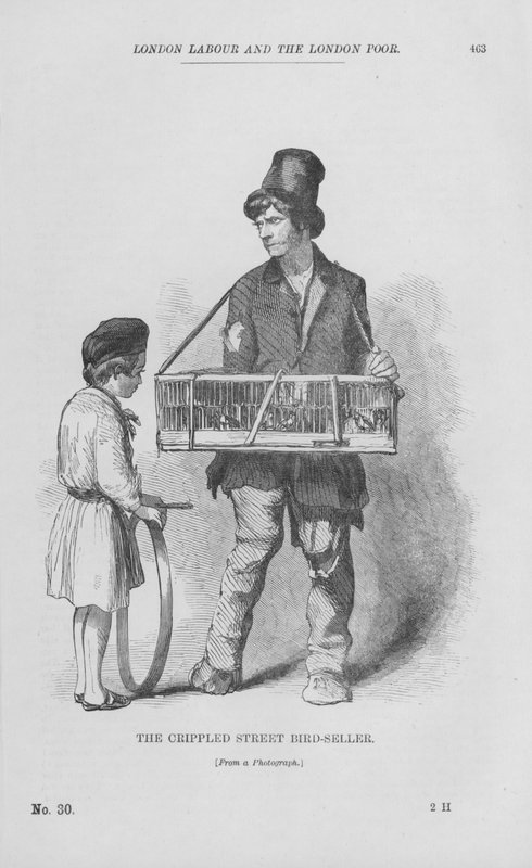 The Crippled Street Bird-Seller (rytina) od English School