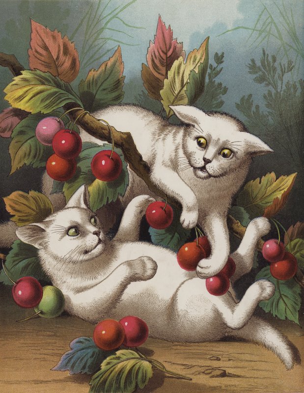 Křížové kotě (chromolitho) od English School