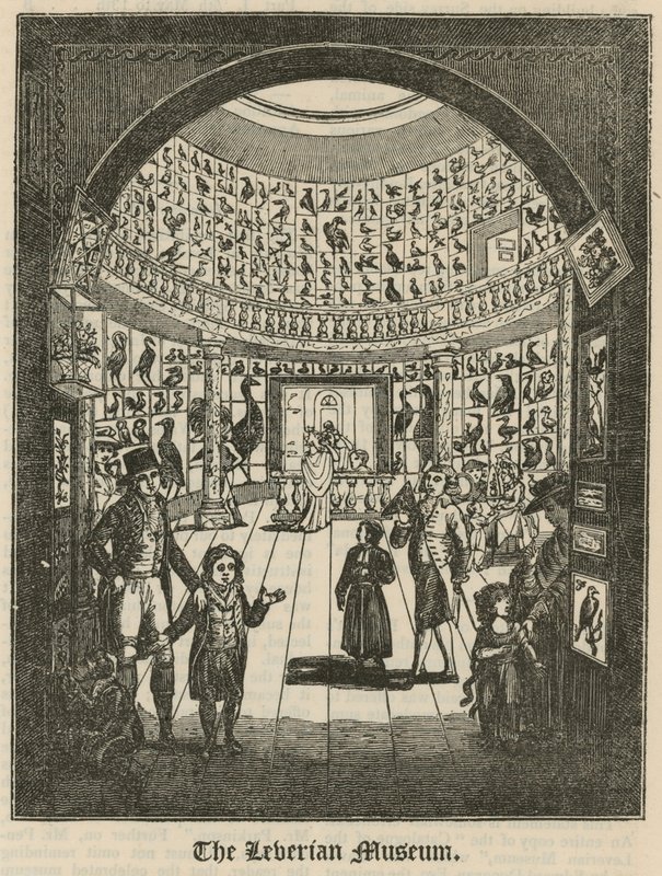 Leverian Museum od English School
