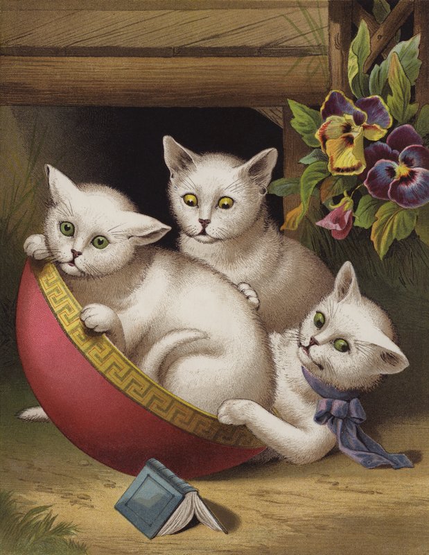 Veselé kotě (chromolitho) od English School