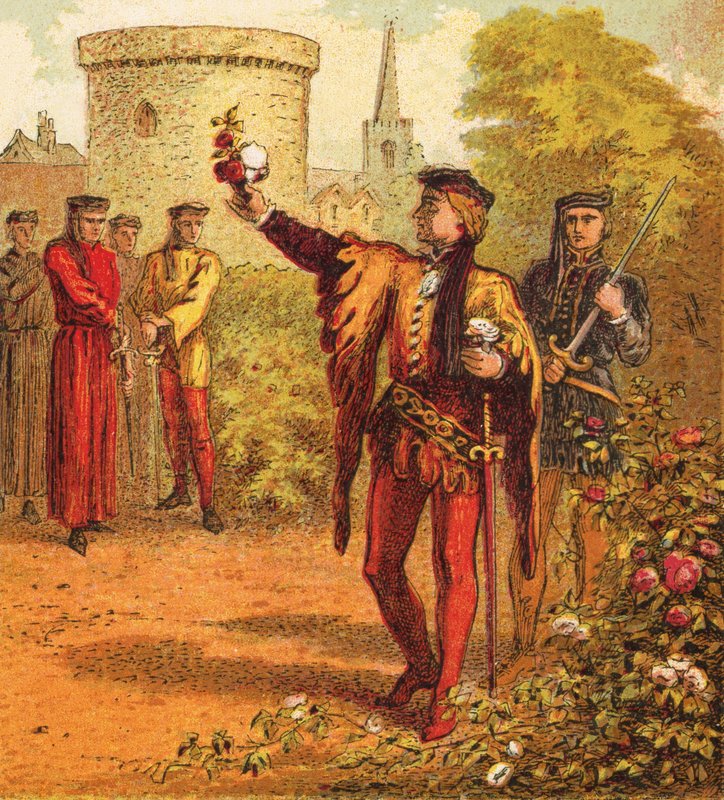Červené a bílé růže od English School