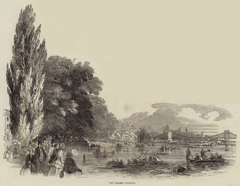 The Thames Regatta (rytina) od English School