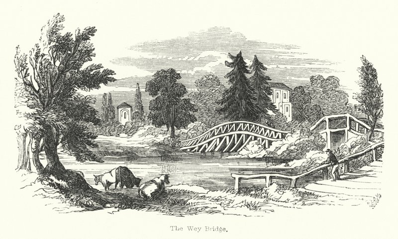Wey Bridge (rytina) od English School