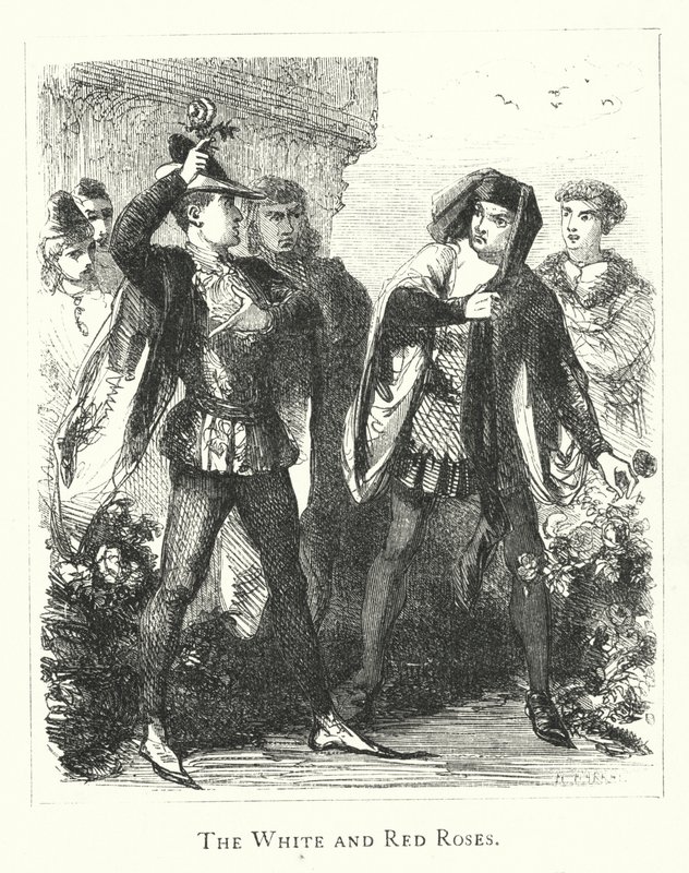 Bílé a červené růže (rytina) od English School