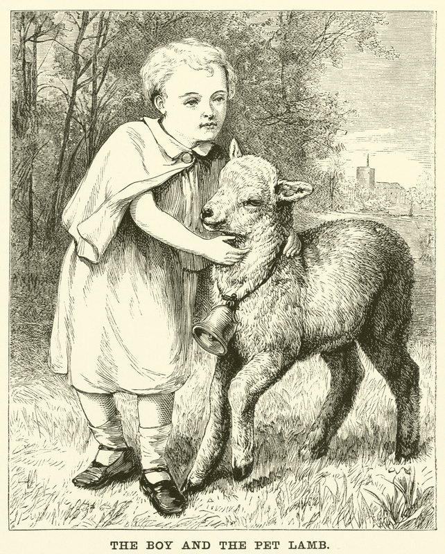 Chlapec a jehněčí mazlíček (rytina) od English School