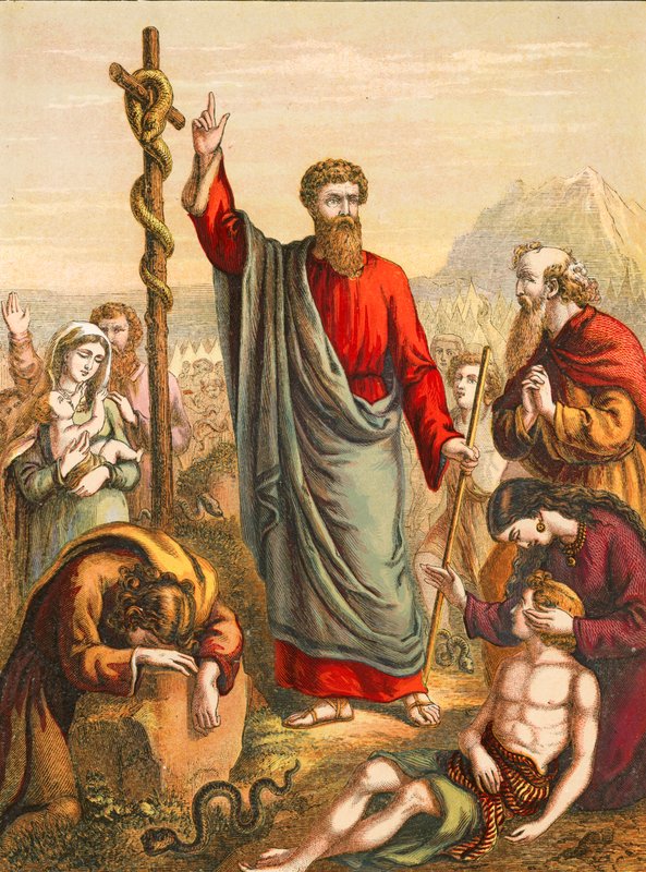 Ten drzý had od English School
