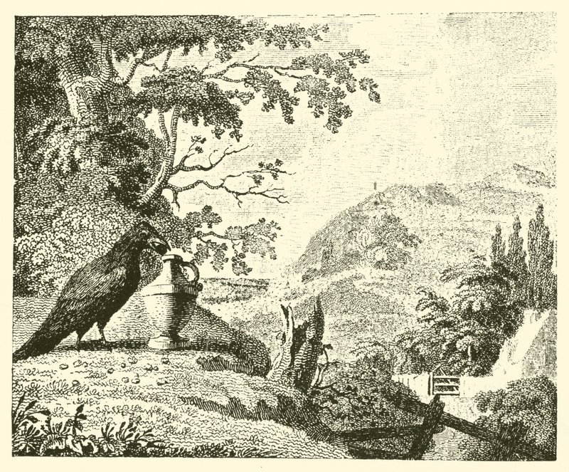 Vrána a džbán (rytina) od English School