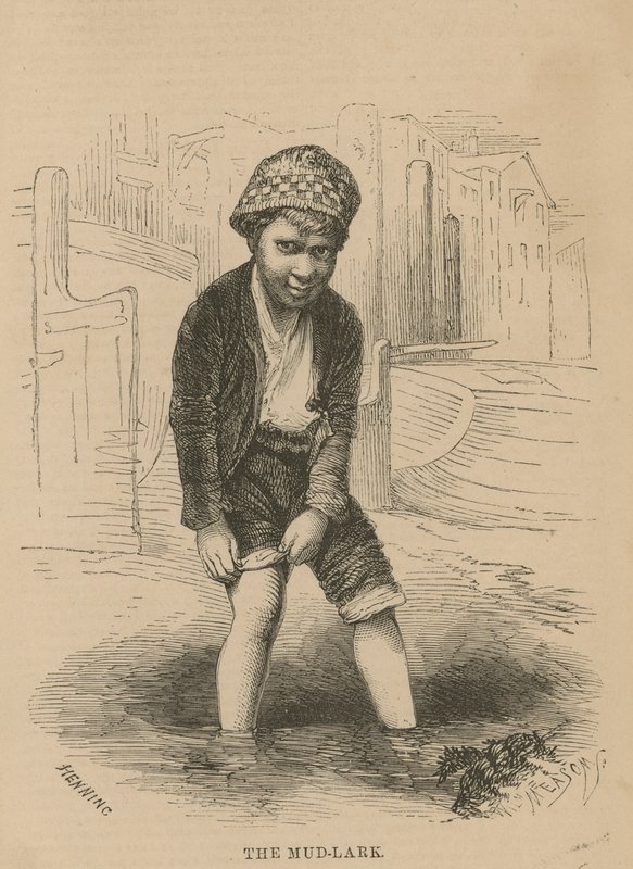 Skřivan bahenní od English School
