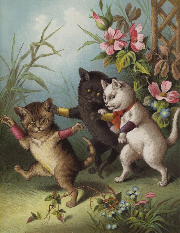 Tři malá koťátka v zahradě (chromolitho) od English School