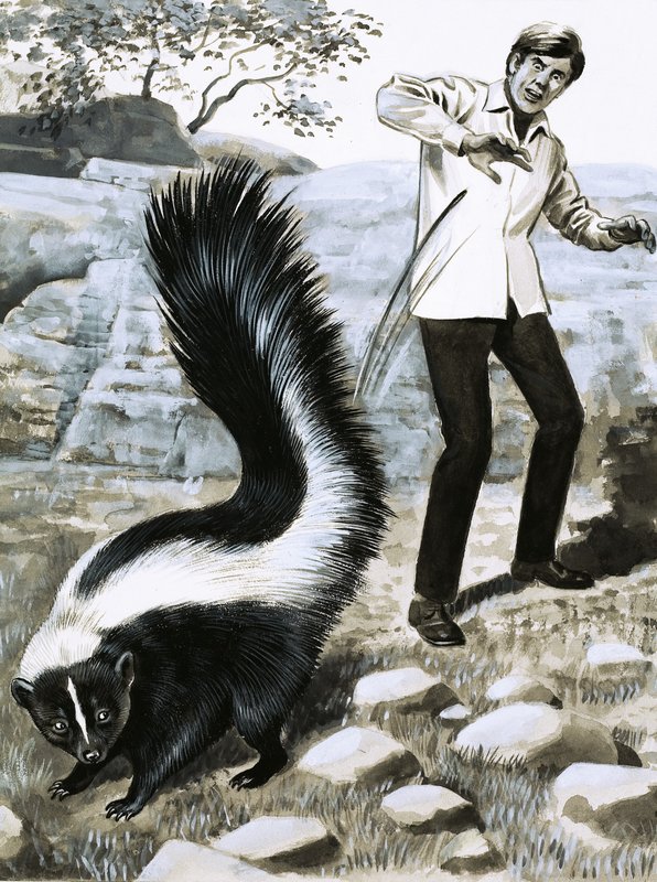 Zub a dráp: Skunk od English School