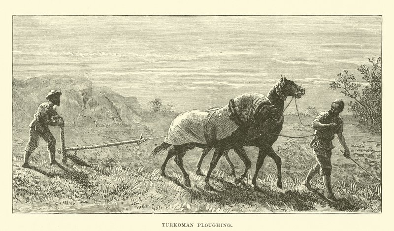 Turkomanská orba od English School
