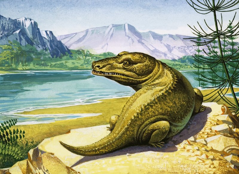 Neznámý dinosaurus podobný krokodýlovi od English School