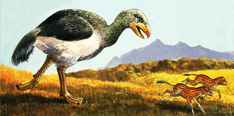 Neidentifikované prehistorické zvíře. od English School