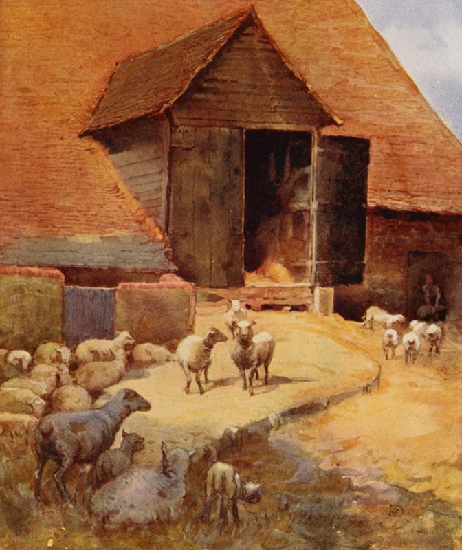 Waiting to Be Shorn (barevné lito) od English School