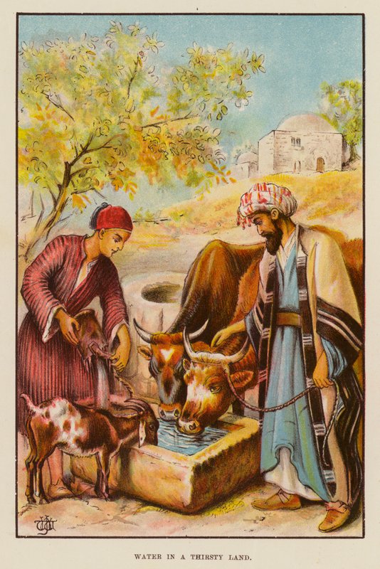 Voda ve žíznivé zemi (barevné lito) od English School