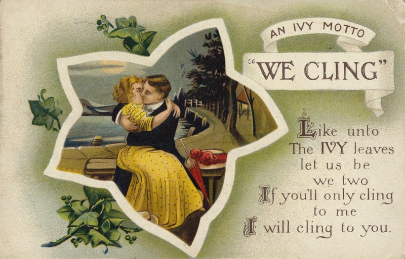 We Cling – motto břečťanu od English School