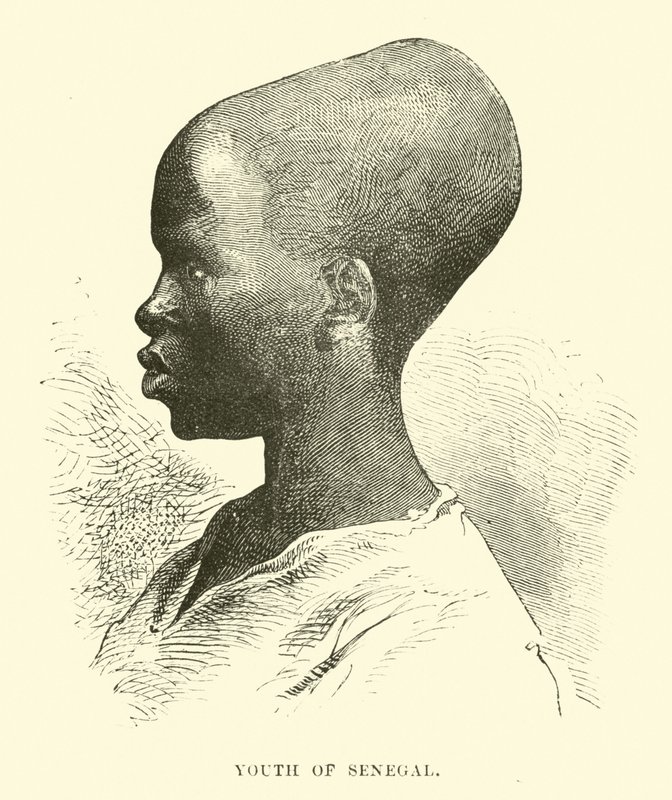 Mládež Senegalu od English School