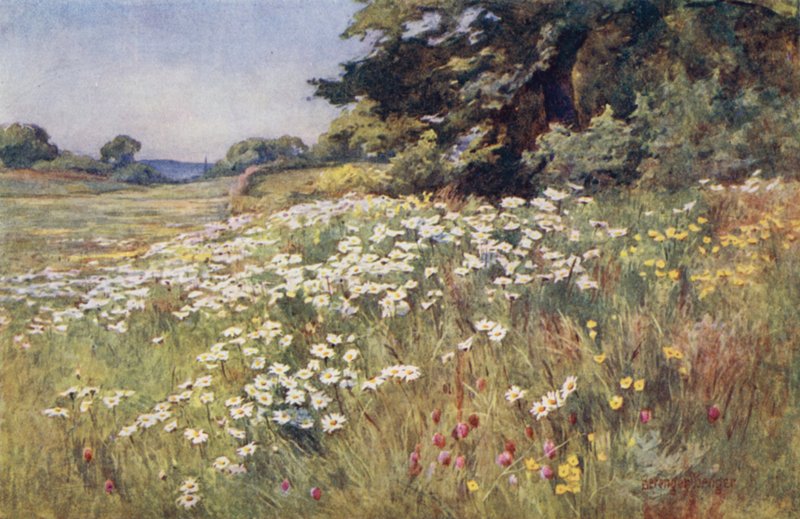 Sunshine in Meadowland od Ernest Benger or Berenger