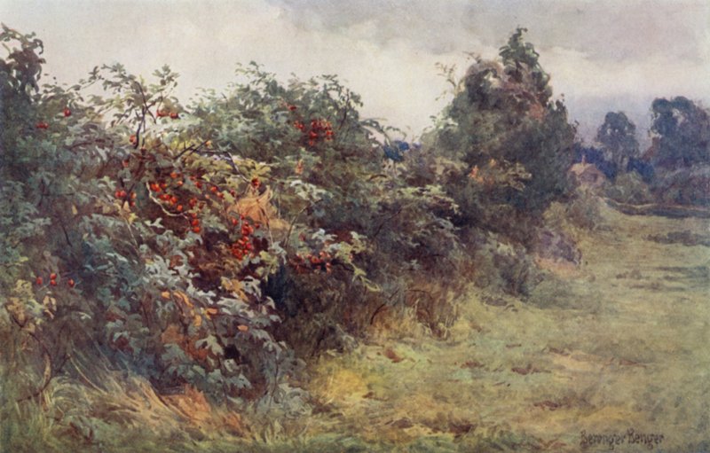 Zjevení zralosti od Ernest Benger or Berenger