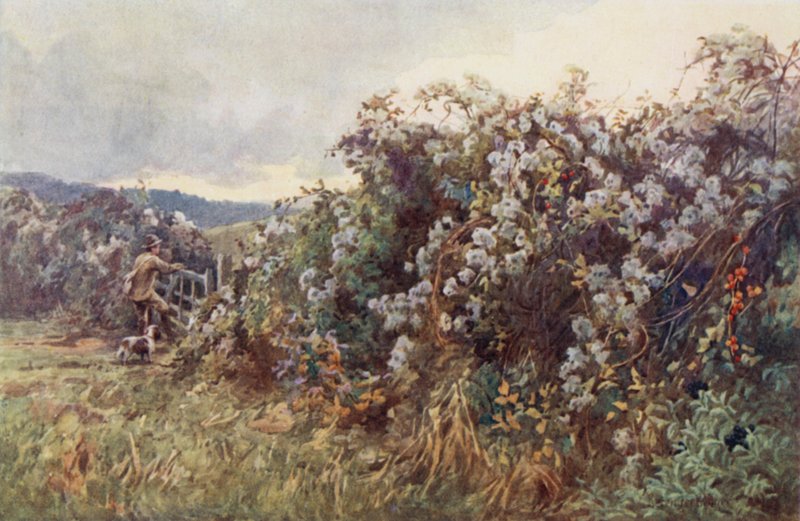 Cestovatelé" Joy od Ernest Benger or Berenger