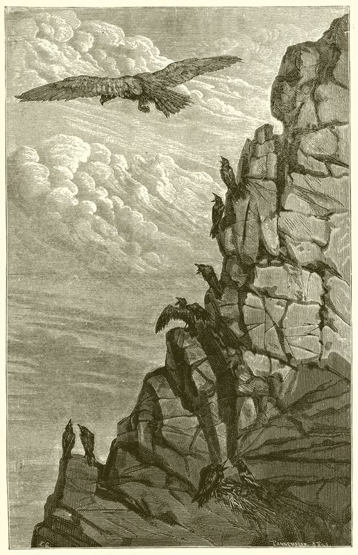 Orel a vrána od Ernest Henry Griset