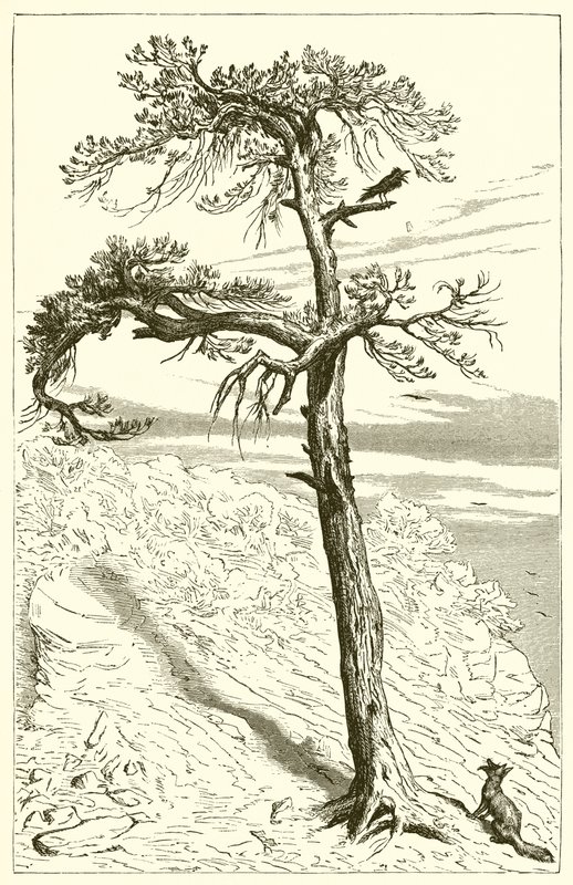 Liška a posádka od Ernest Henry Griset