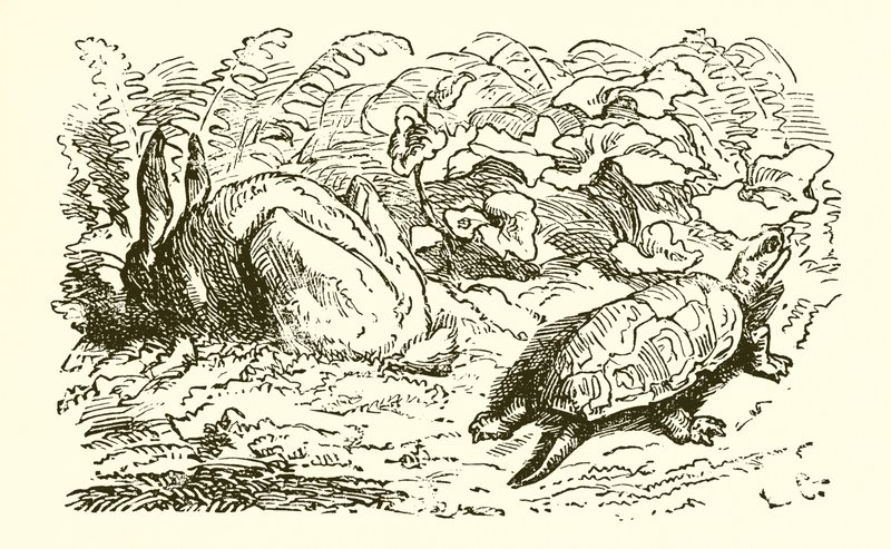 Zajíc a želva od Ernest Henry Griset