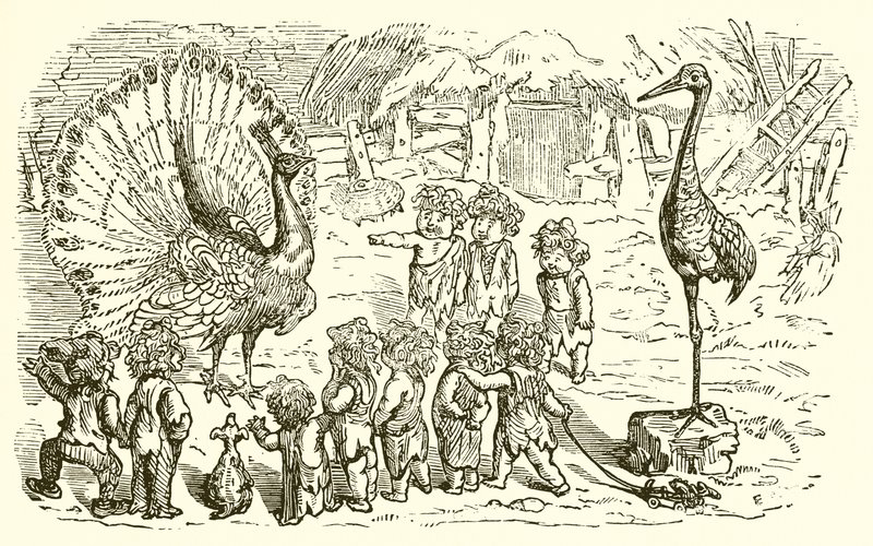 Páv a jeřáb od Ernest Henry Griset