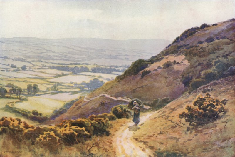 Ballard Down, Swanage (barevní členové) od Ernest William Haslehust